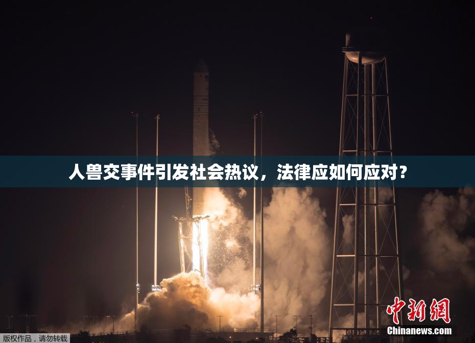 人兽交事件引发社会热议，法律应如何应对？