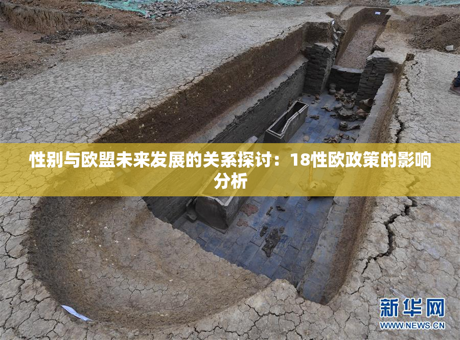 性别与欧盟未来发展的关系探讨：18性欧政策的影响分析