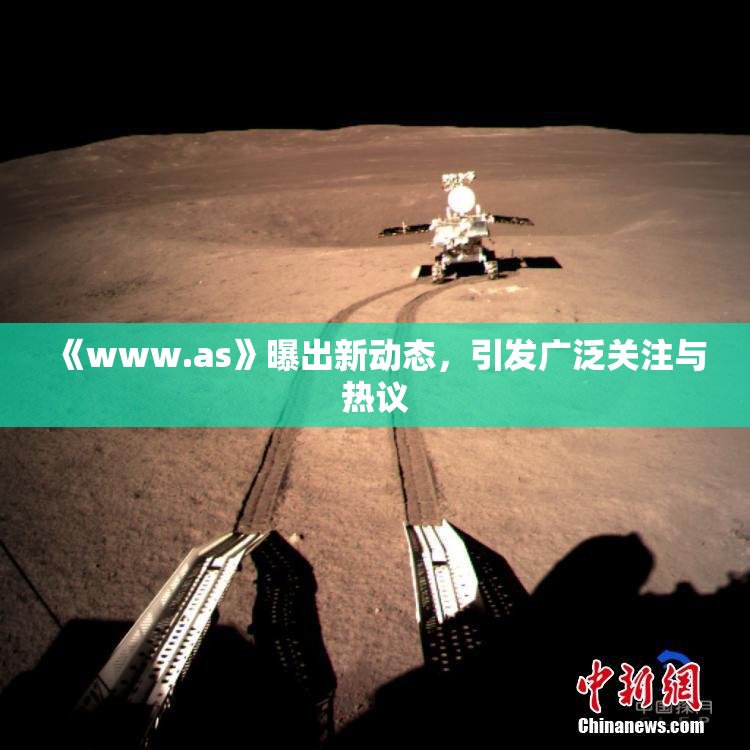 《www.as》曝出新动态，引发广泛关注与热议