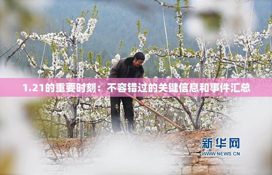 1.21的重要时刻：不容错过的关键信息和事件汇总