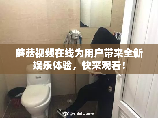 蘑菇视频在线为用户带来全新娱乐体验，快来观看！