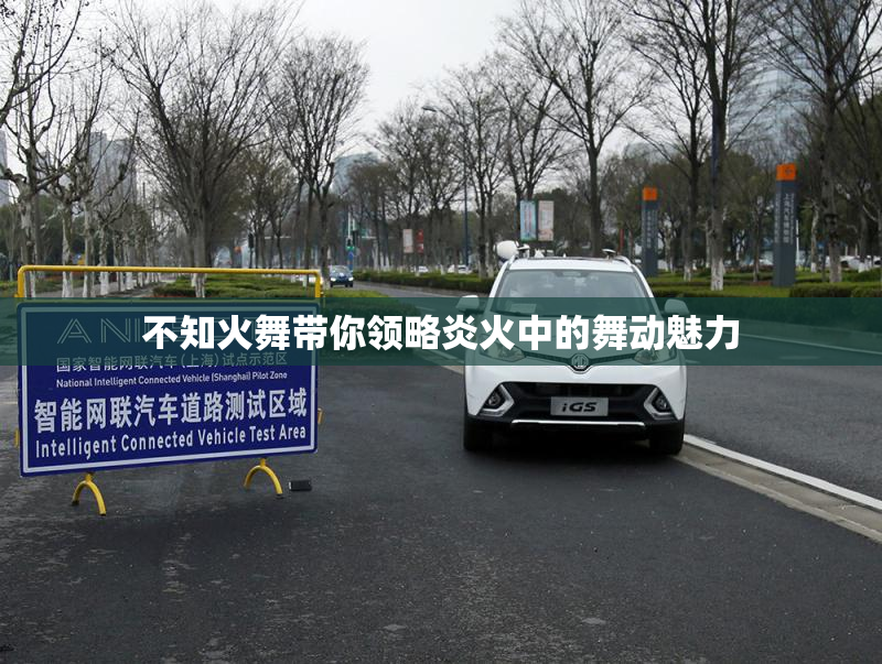 不知火舞带你领略炎火中的舞动魅力