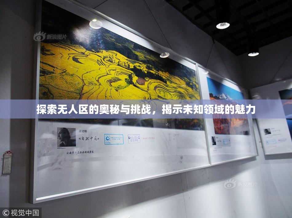 探索无人区的奥秘与挑战，揭示未知领域的魅力