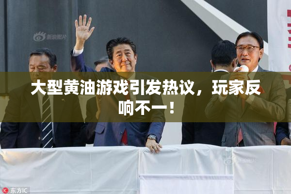 大型黄油游戏引发热议，玩家反响不一！
