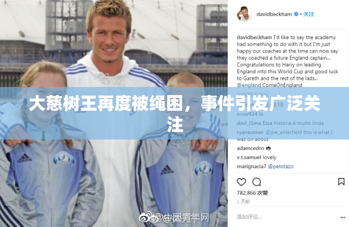 大慈树王再度被绳困，事件引发广泛关注