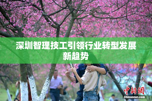 深圳智理技工引领行业转型发展新趋势
