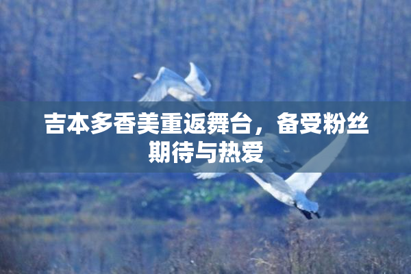 吉本多香美重返舞台，备受粉丝期待与热爱