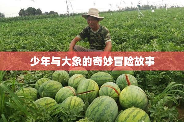 少年与大象的奇妙冒险故事