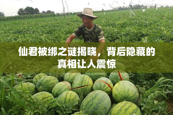 仙君被绑之谜揭晓，背后隐藏的真相让人震惊