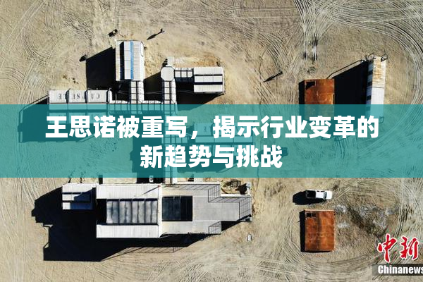 王思诺被重写，揭示行业变革的新趋势与挑战