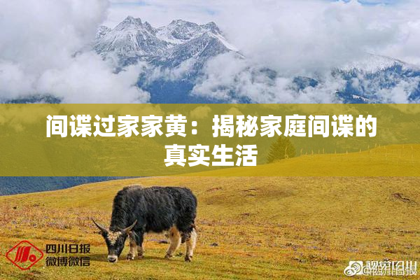 间谍过家家黄：揭秘家庭间谍的真实生活