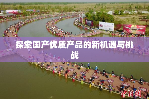 探索国产优质产品的新机遇与挑战