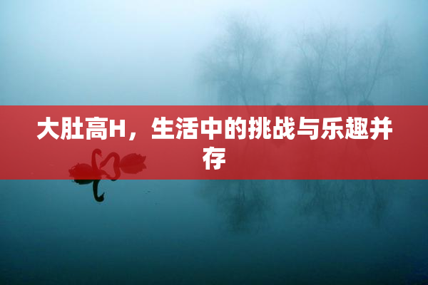 大肚高H，生活中的挑战与乐趣并存