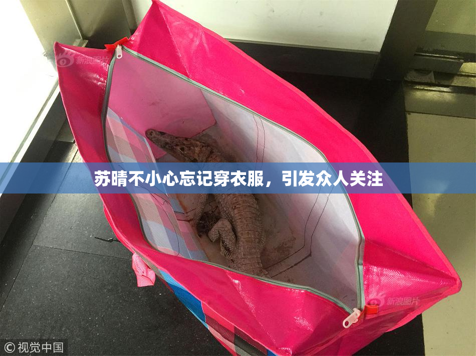 苏晴不小心忘记穿衣服，引发众人关注