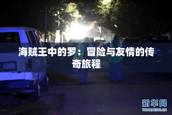 海贼王中的罗：冒险与友情的传奇旅程