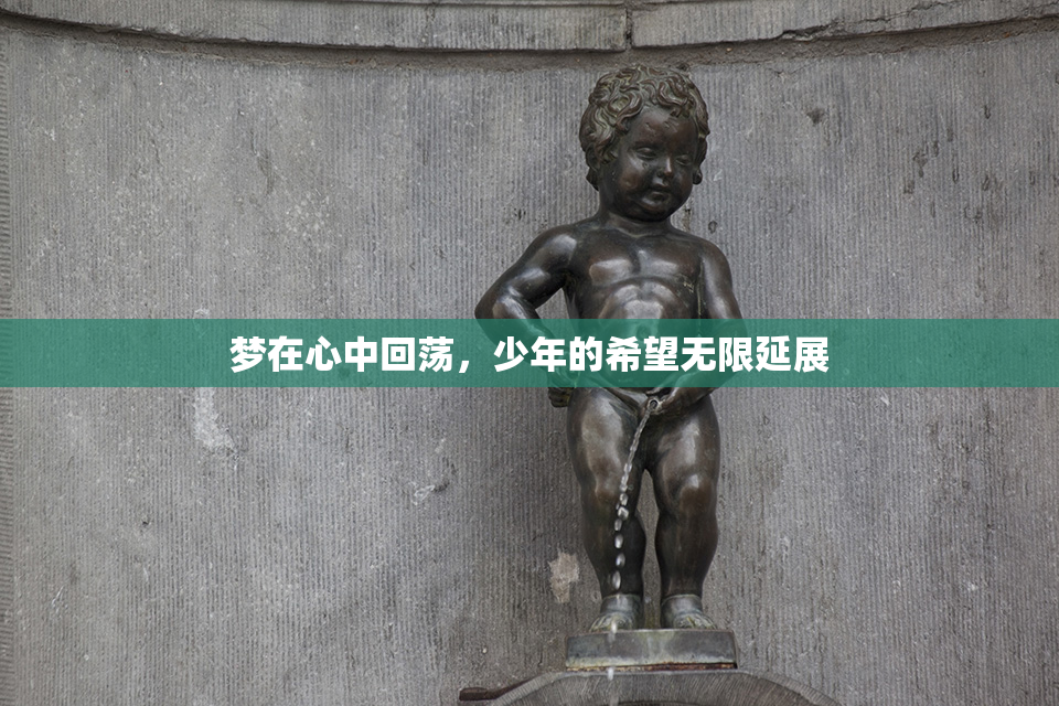梦在心中回荡，少年的希望无限延展