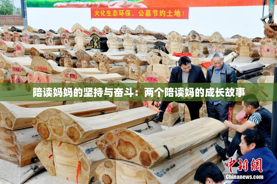 陪读妈妈的坚持与奋斗：两个陪读妈的成长故事