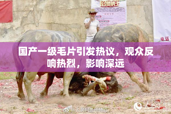 国产一级毛片引发热议，观众反响热烈，影响深远