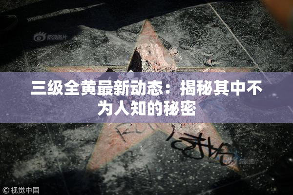 三级全黄最新动态：揭秘其中不为人知的秘密