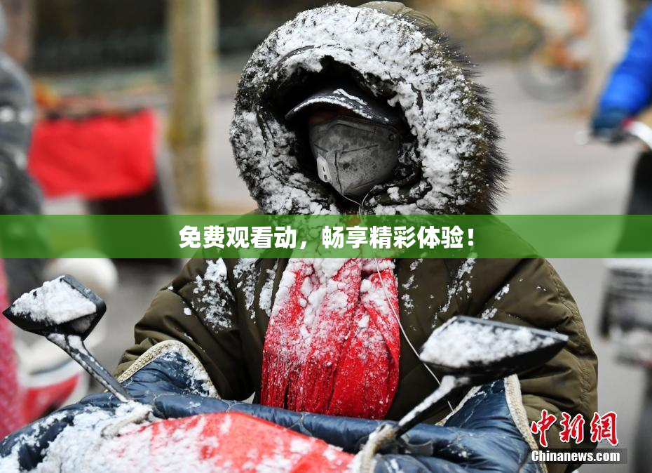 免费观看动，畅享精彩体验！