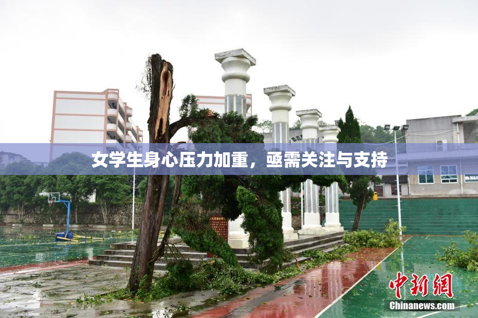 女学生身心压力加重，亟需关注与支持