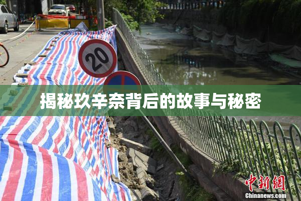 揭秘玖辛奈背后的故事与秘密