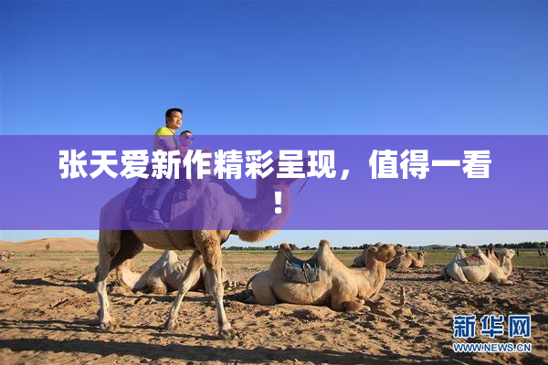 张天爱新作精彩呈现，值得一看！