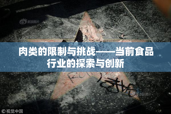 肉类的限制与挑战——当前食品行业的探索与创新