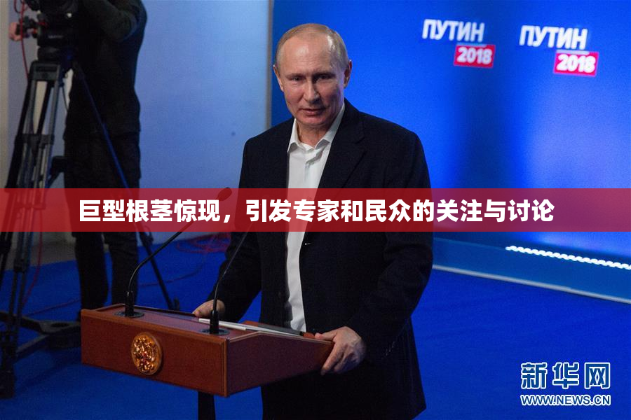 巨型根茎惊现，引发专家和民众的关注与讨论