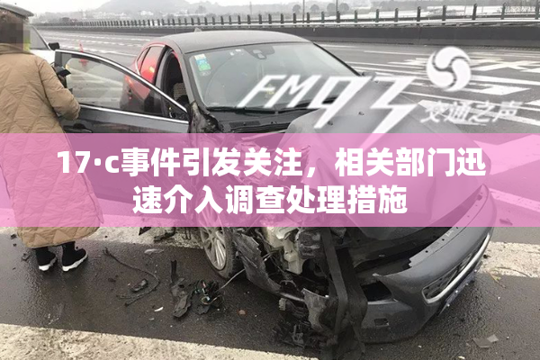 17·c事件引发关注，相关部门迅速介入调查处理措施