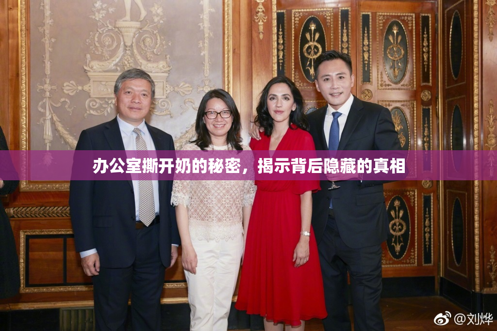 办公室撕开奶的秘密，揭示背后隐藏的真相