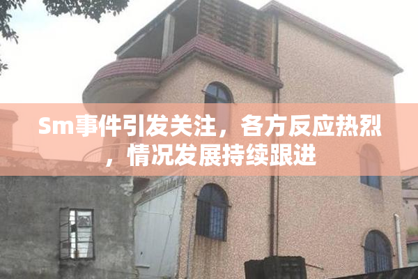Sm事件引发关注，各方反应热烈，情况发展持续跟进