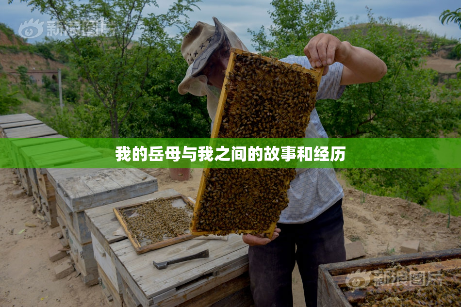 我的岳母与我之间的故事和经历
