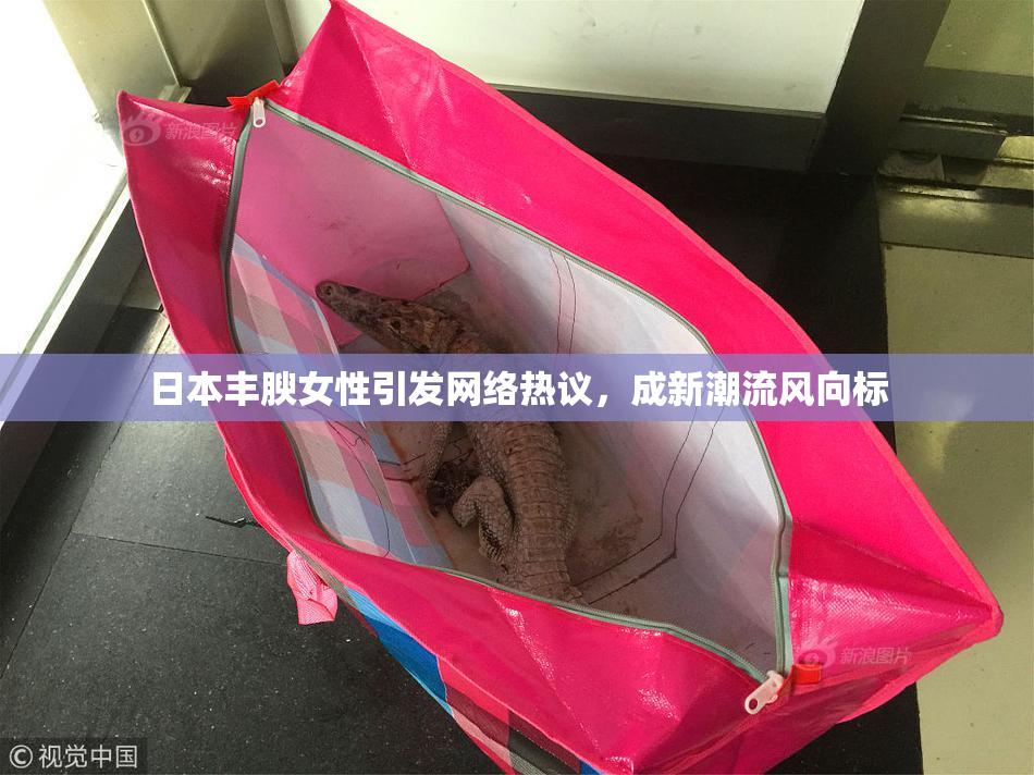 日本丰腴女性引发网络热议，成新潮流风向标