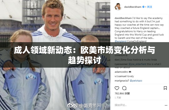 成人领域新动态：欧美市场变化分析与趋势探讨