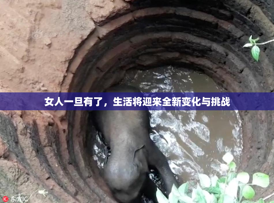 女人一旦有了，生活将迎来全新变化与挑战