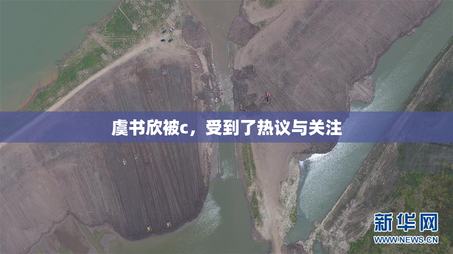 虞书欣被c，受到了热议与关注