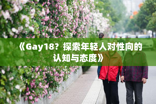 《Gay18？探索年轻人对性向的认知与态度》