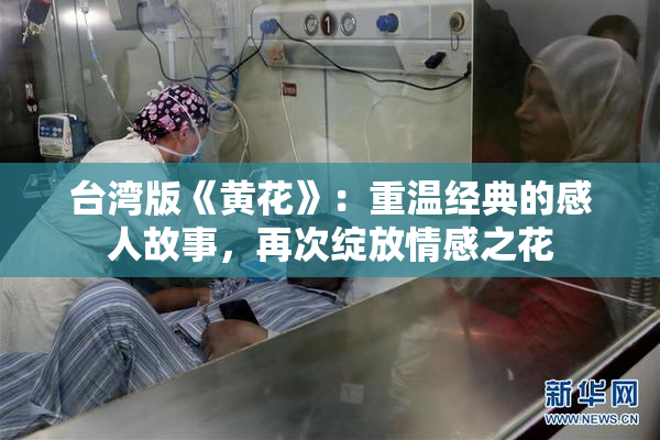 台湾版《黄花》：重温经典的感人故事，再次绽放情感之花