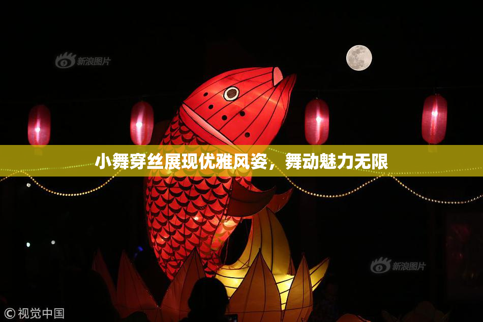 小舞穿丝展现优雅风姿，舞动魅力无限