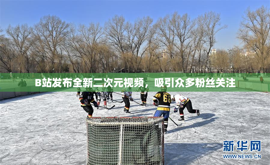 B站发布全新二次元视频，吸引众多粉丝关注