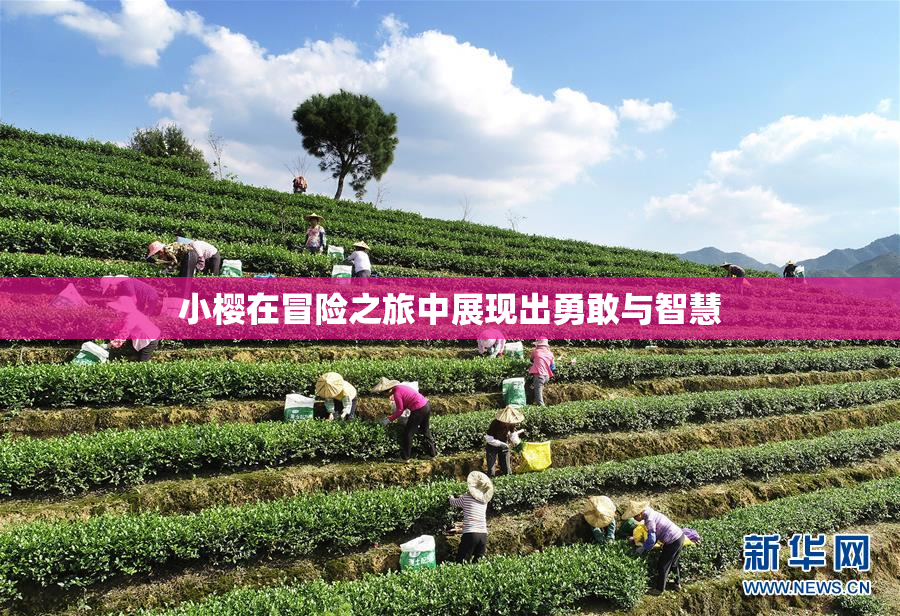 小樱在冒险之旅中展现出勇敢与智慧