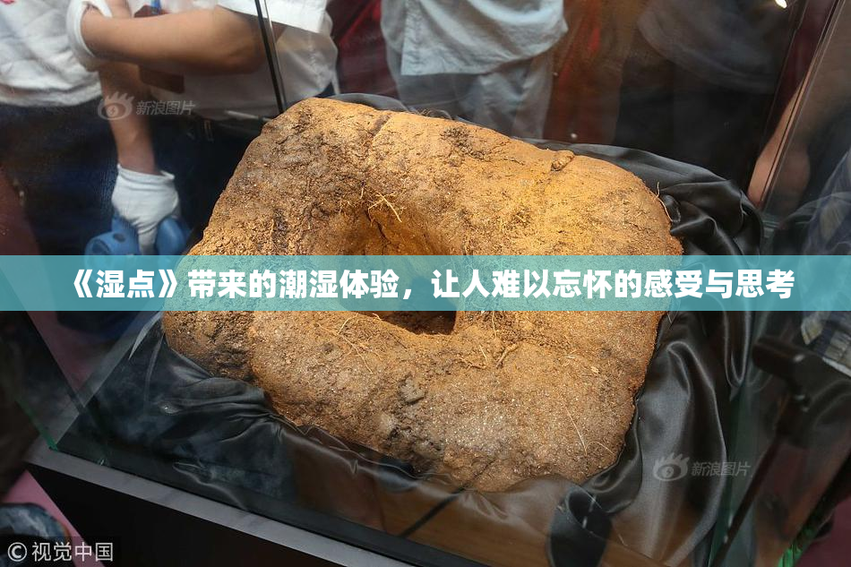 《湿点》带来的潮湿体验，让人难以忘怀的感受与思考