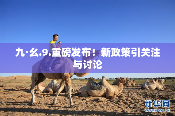 九·幺.9.重磅发布！新政策引关注与讨论