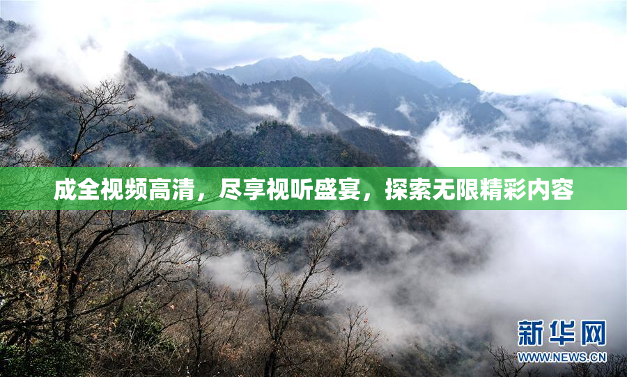 成全视频高清，尽享视听盛宴，探索无限精彩内容