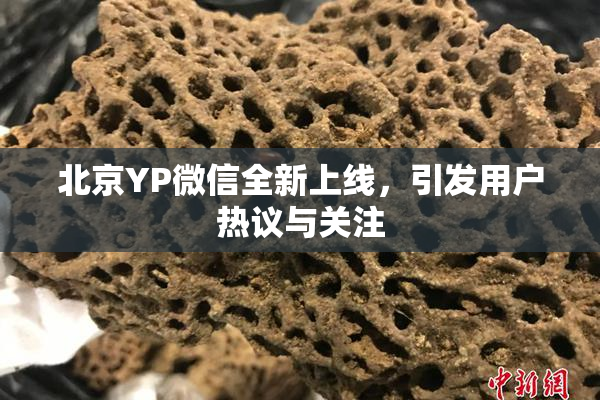 北京YP微信全新上线，引发用户热议与关注