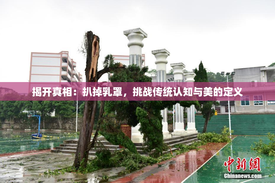 揭开真相：扒掉乳罩，挑战传统认知与美的定义