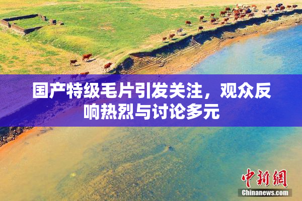 国产特级毛片引发关注，观众反响热烈与讨论多元