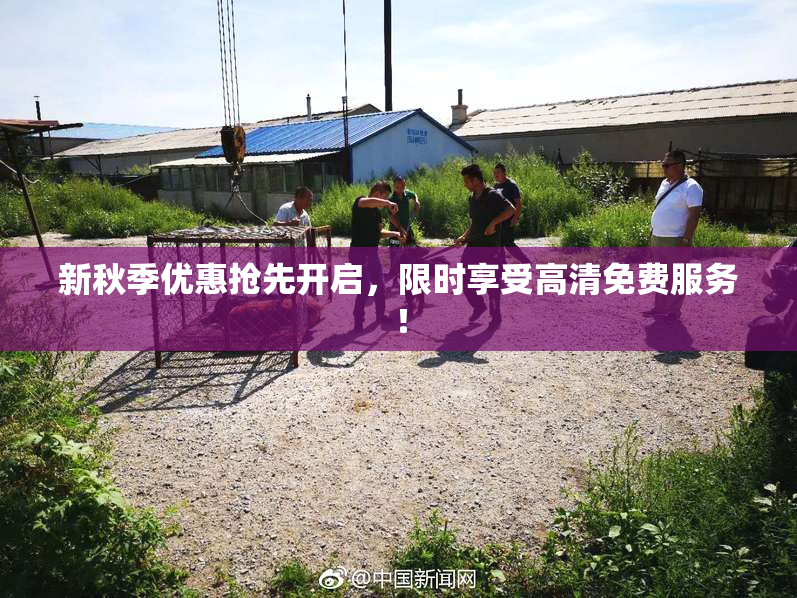 新秋季优惠抢先开启，限时享受高清免费服务！