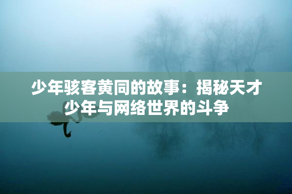 少年骇客黄同的故事：揭秘天才少年与网络世界的斗争
